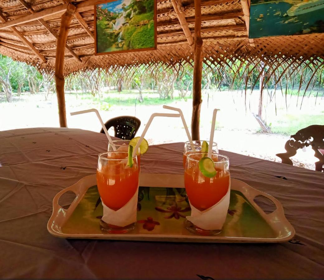 Eden Yala Hotell Exteriör bild