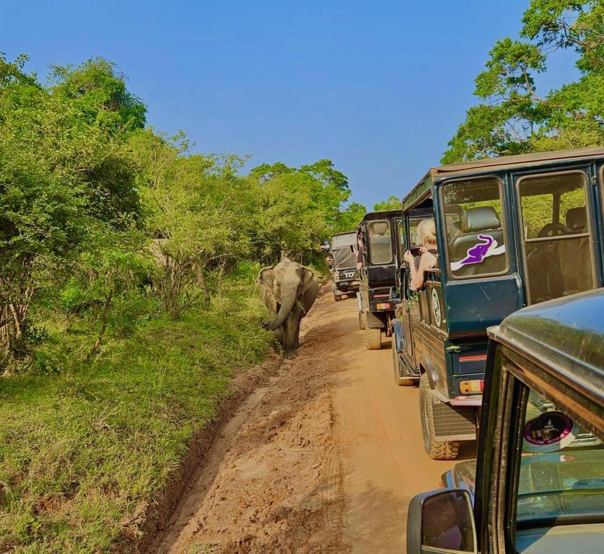 Eden Yala Hotell Exteriör bild